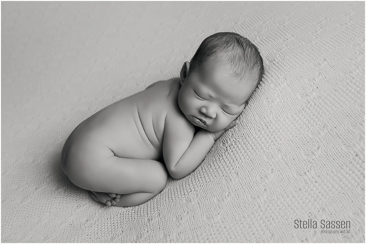 cape town newborn photographers 5